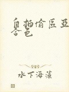 自拍偷区亚洲综合色