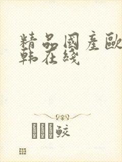 精品国产欧美日韩在线