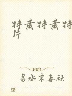 特黄特黄特黄毛片