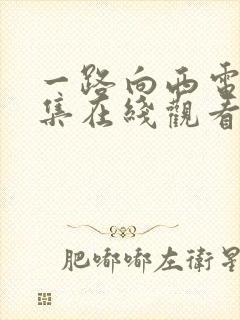 一路向西电影全集在线观看