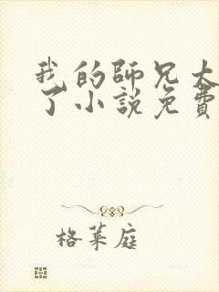 我的师兄太稳健了小说免费阅读