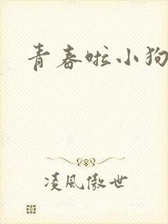 青春啦小狗