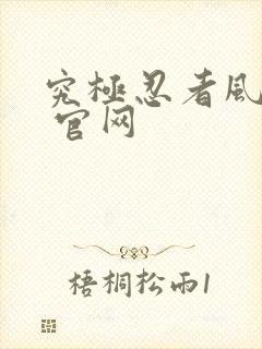 究极忍者风暴4 官网