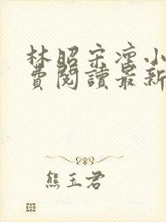 林昭宋凛小说免费阅读最新章节更新