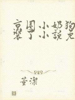 京圈小奶狗他不装了小说免费阅读