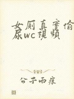 女厕真实偷拍撒尿wc视频