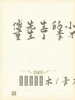 傅先生的小祖宗重生了 李不言