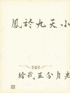 凤于九天小说