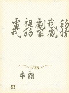 电视剧我的孩子我的家剧情介绍