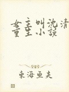 女主叫沈清宁的重生小说封面