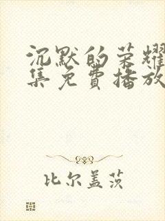 沉默的荣耀32集免费播放