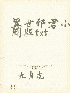 异世邪君小说未删版txt