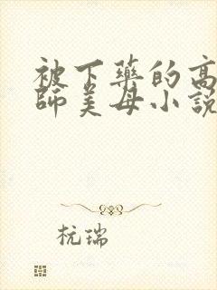 被下药的高冷教师美母小说封面