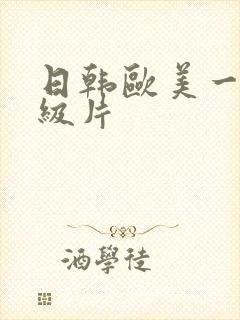 日韩欧美一级二级片封面