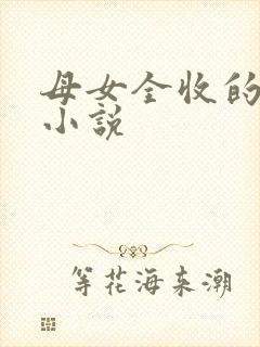 母女全收的都市小说封面