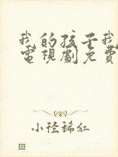 我的孩子我的家电视剧免费观看全集