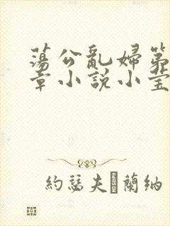 荡公乱妇第51章小说小莹