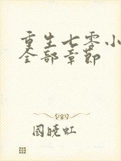 重生七零小辣媳全部章节封面