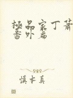 极品家丁萧夫人番外篇