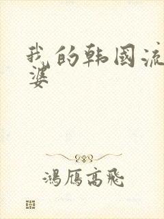 我的韩国流氓老婆