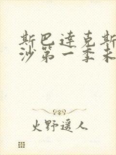 斯巴达克斯血与沙第一季未删减版封面