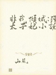 非我倾城:独宠太子妃小说免费阅读封面