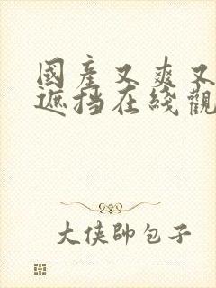 国产又爽又黄无遮挡在线观看