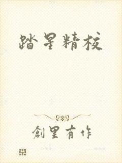 踏星精校封面