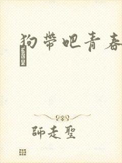 狗带吧青春 奇犽