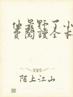 他最野了小说免费阅读全本封面