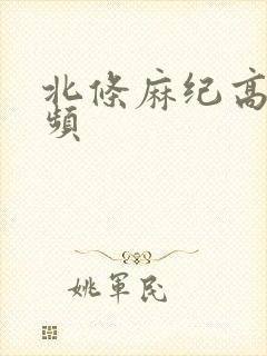 北条麻纪高清视频封面