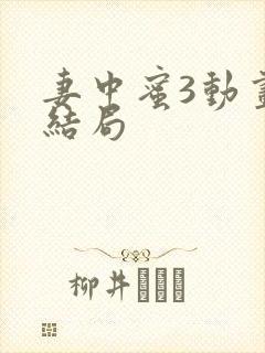 妻中蜜3动画版结局