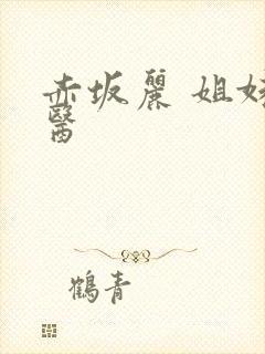 赤坂丽 姐妹牙医