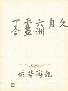 丁香六月久久综合亚洲