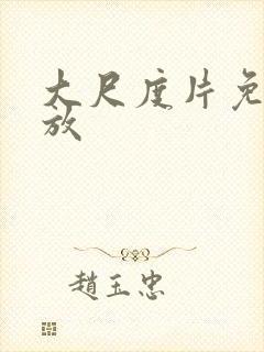 大尺度片免费播放