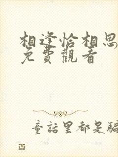 相逢恰相思短剧免费观看