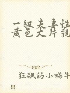 一级夫妻性生活黄色大片观看封面