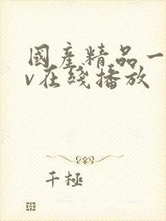 国产精品一级av在线播放