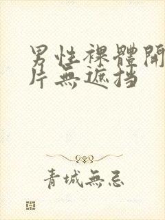 男性裸体开腿照片无遮挡封面