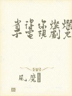 省得你灿烂的日子电视剧免费观看