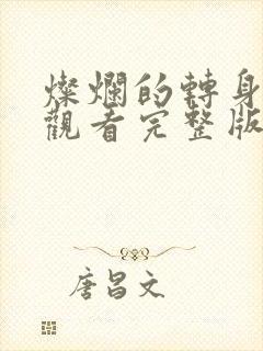 灿烂的转身免费观看完整版电视剧