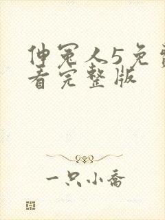 伸冤人5免费观看完整版