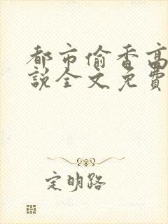 都市偷香高手小说全文免费阅读封面