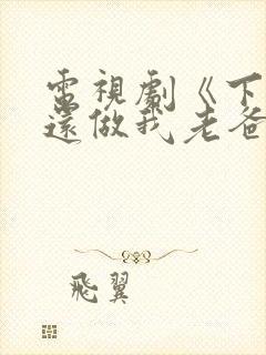 电视剧《下辈子还做我老爸》