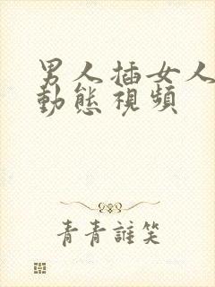 男人插女人高潮动态视频