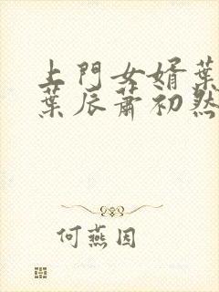 上门女婿叶辰 叶辰萧初然531