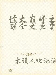 徐大巅峰之路小说全文免费阅读