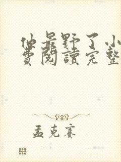 他最野了小说免费阅读完整版