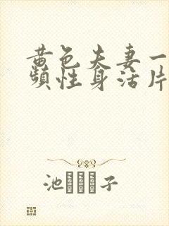 黄色夫妻一级视频性身活片