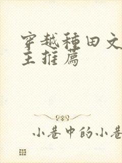 穿越种田文双男主推荐